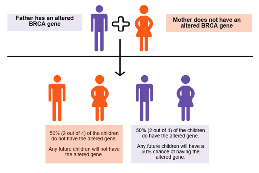 How altered genes are passed down in families